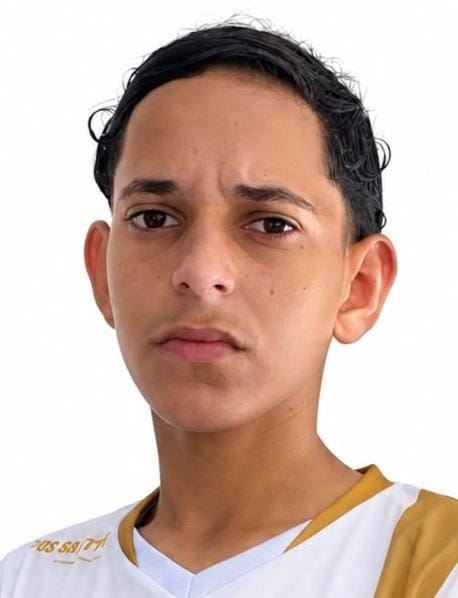 Pedro Henrique T. da Silva